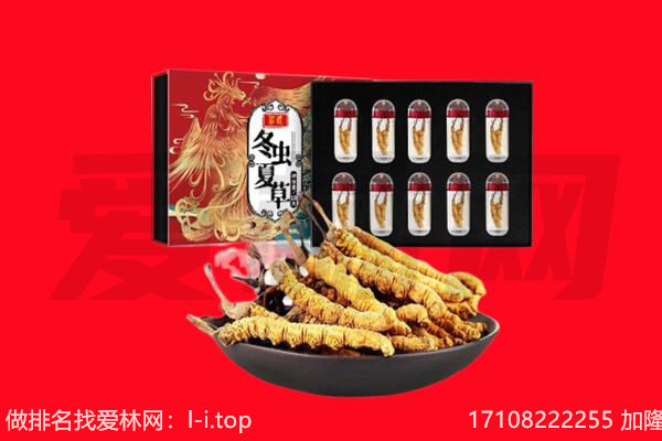 泸州江阳区回收虫草.jpg